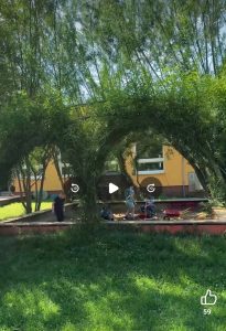 příloha - foto k projektu Přírodní zastínění z keřů