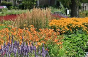 lelnpyrfxIoN3kyi1ZO19lMWvpGbVxjB