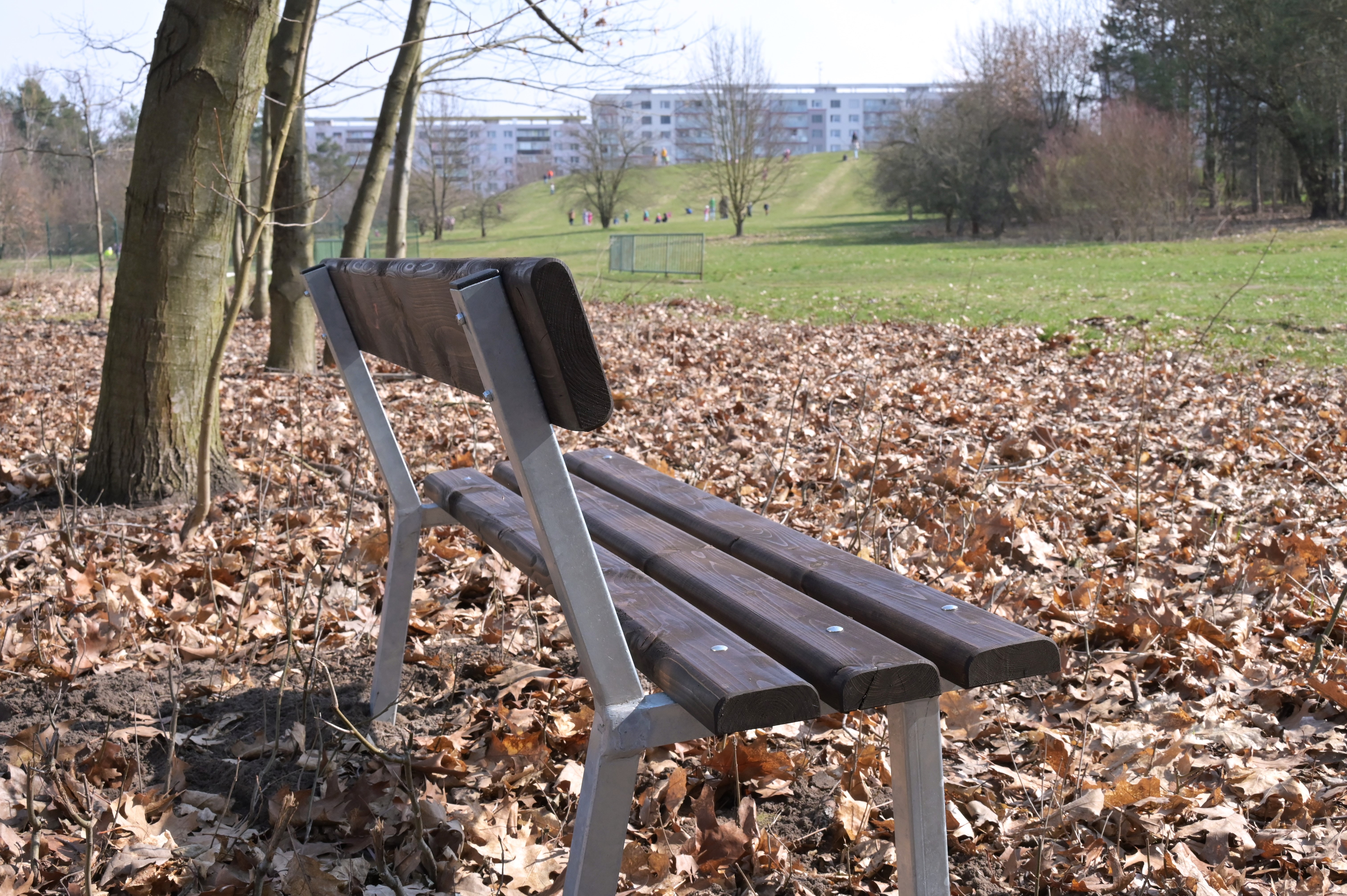 Lavičky v lesoparku 4